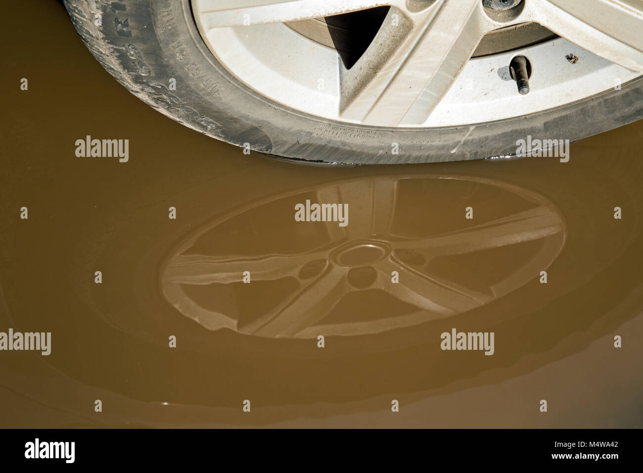 Auto Rad in ein schmutziges Braun Pfütze Stockfoto