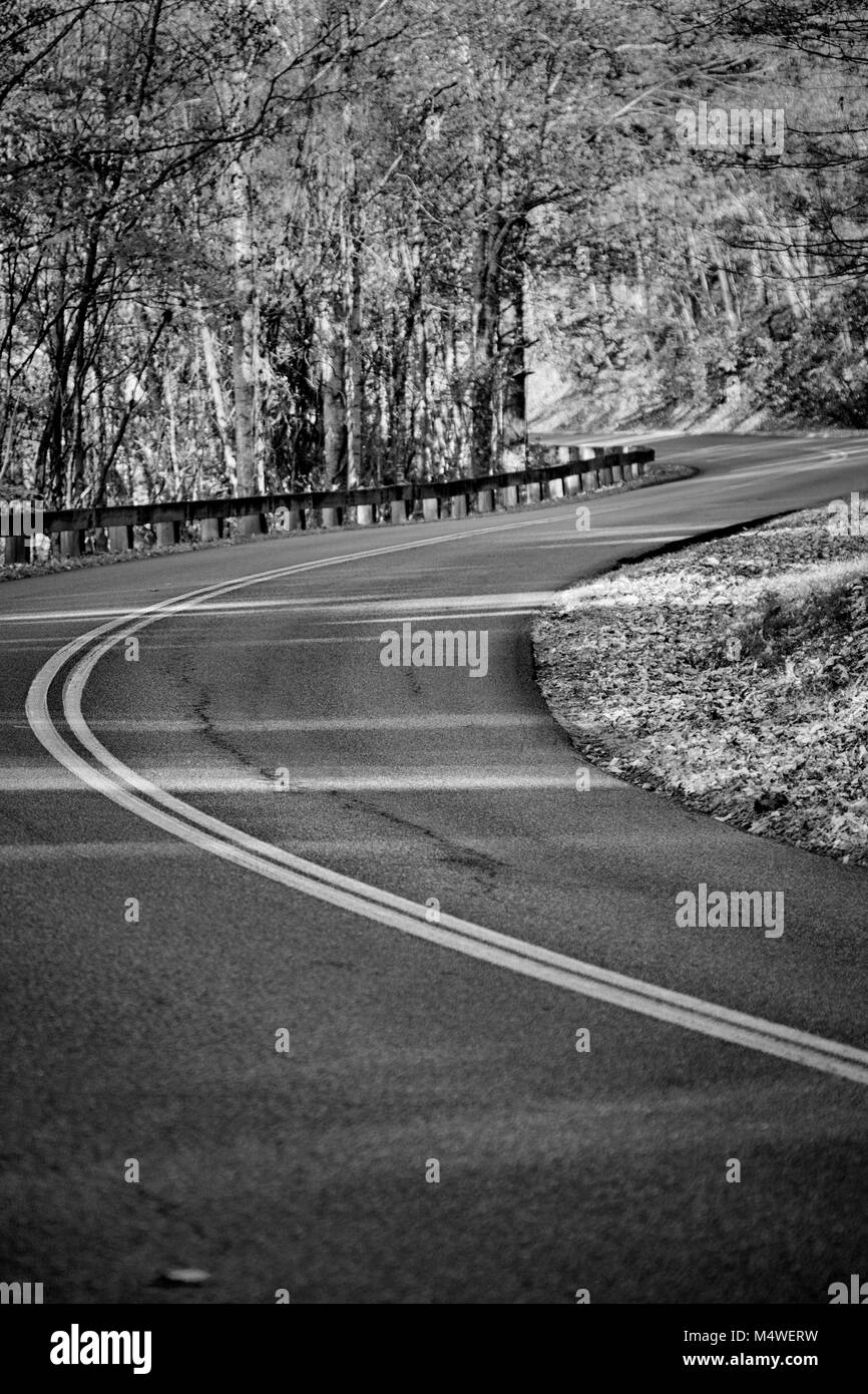 Eine gewundene, leere Straße schlängelt sich durch die Wälder des Blue Ridge Parkway in Asheville, North Carolina, USA Stockfoto