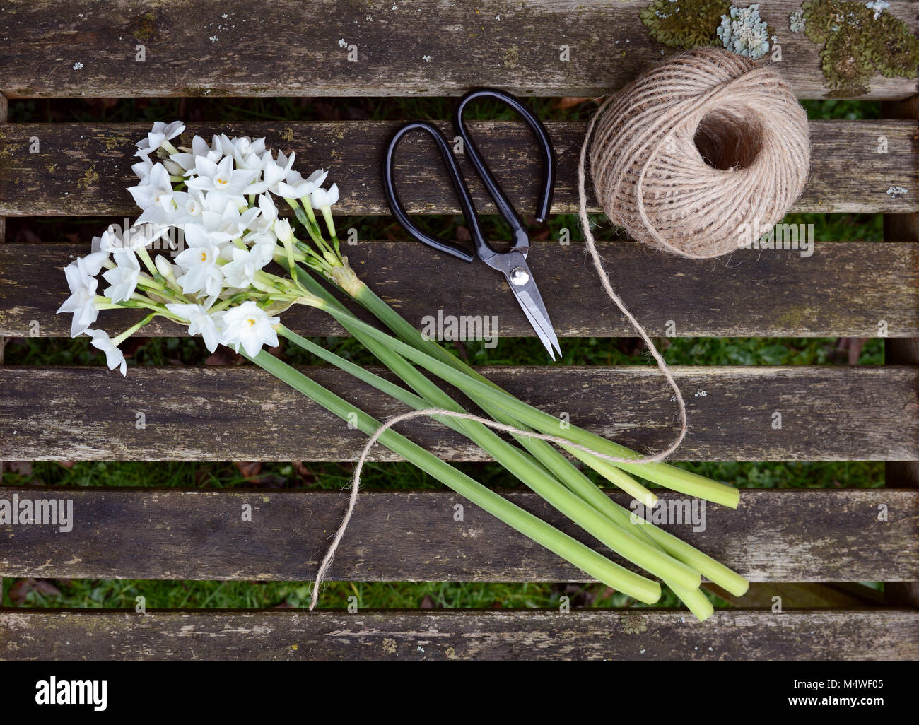 Ball der Garn- und Gartenarbeit Schere mit ein Bündel weißer Narzissen Blumen auf einem holzstäbchen Sitzbank Stockfoto