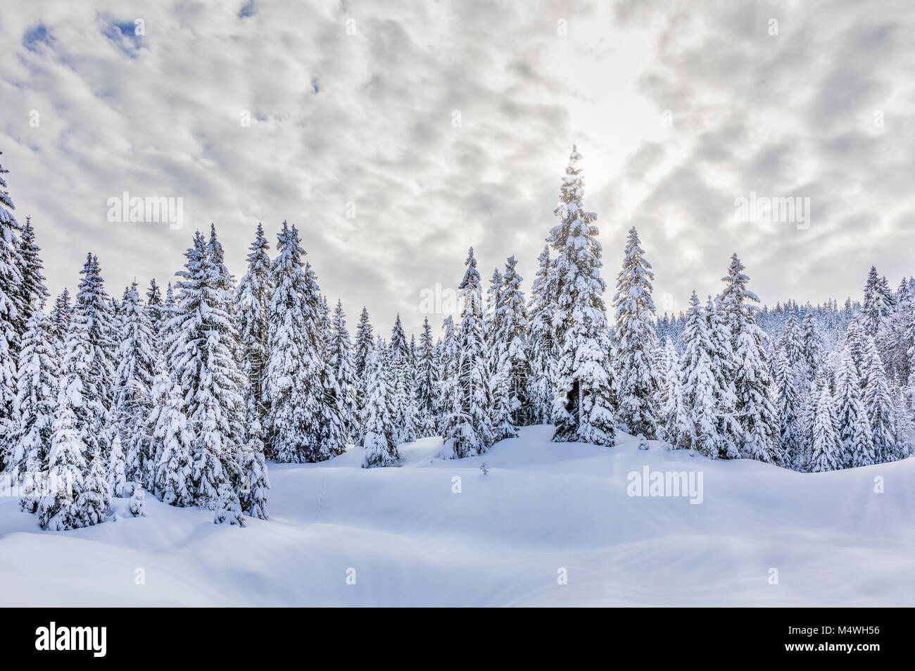 Schnee Landschaft, Jura, Frankreich Stockfoto