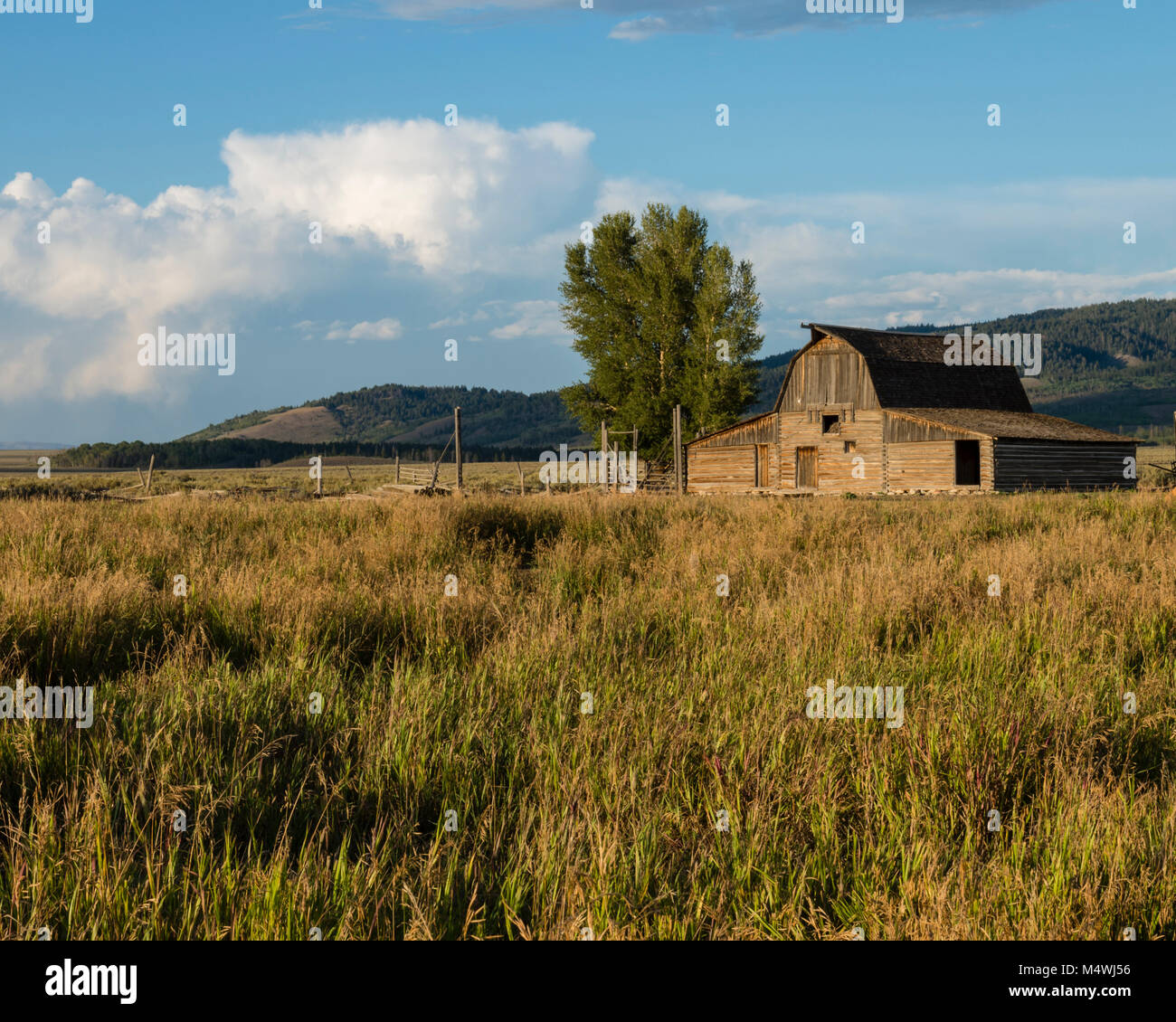 Molton Scheune im Grand Teton National Park. Wyoming, USA Stockfoto