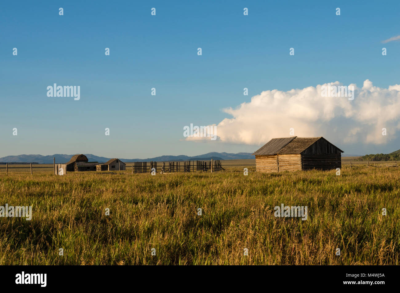 Die Gebäude und Zaun am Moulton Scheune. Grand Teton National Park. Wyoming, USA Stockfoto