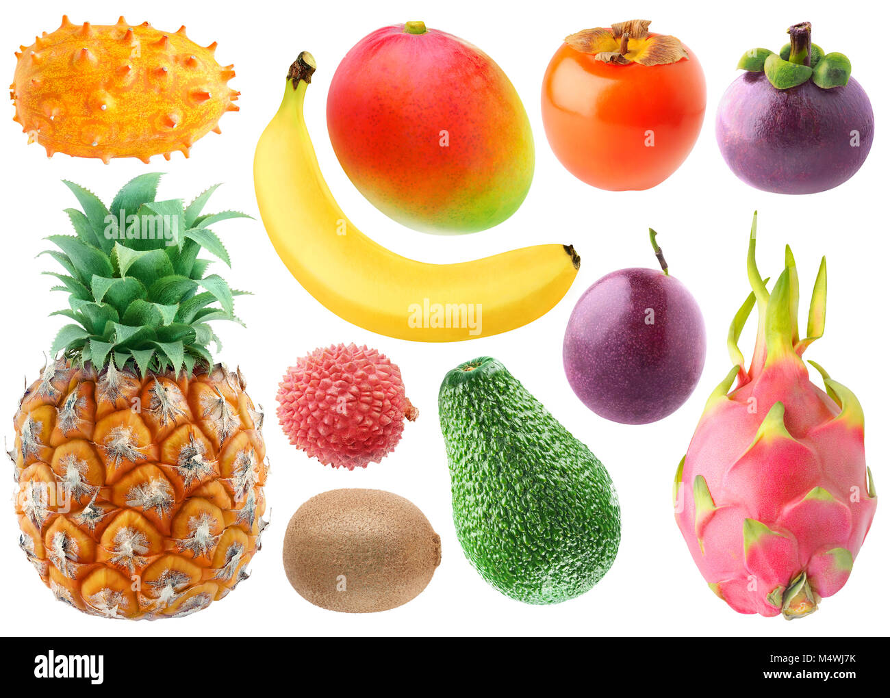 Tropische Früchte Sammlung isoliert. Frische kiwano, Banane, Mango, Kaki, Mangosteen, Ananas, lichee, Kiwi, Avocado, Maracuja und dragonfrui Stockfoto