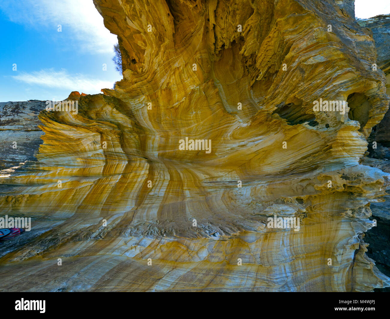 Malte Klippen bei Maria Island National Park Ostküste von Tasmanien, Australien. Stockfoto