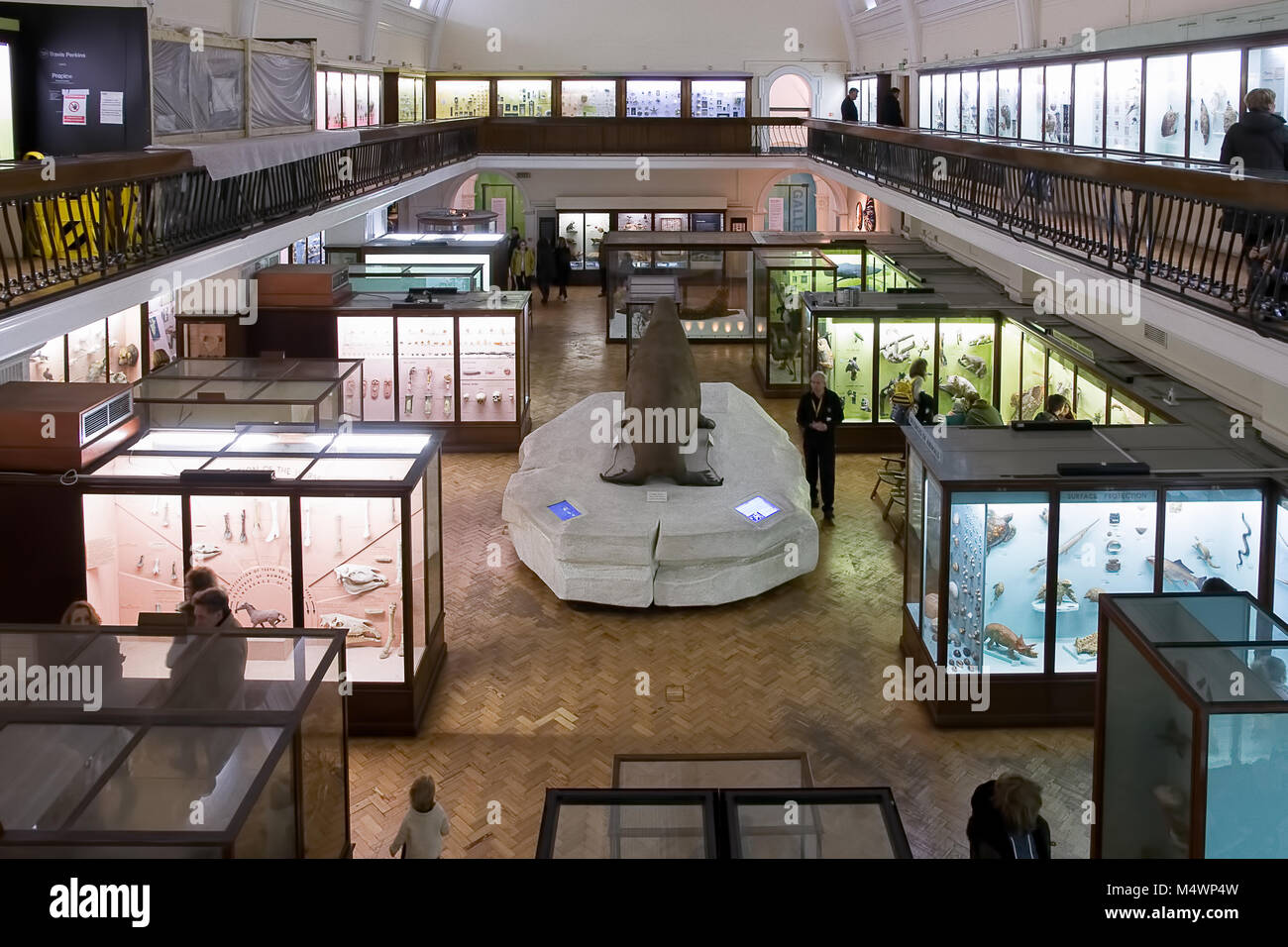 Das Natural History Galerie am Horniman Museum, Forest Hill, London, England. Stockfoto