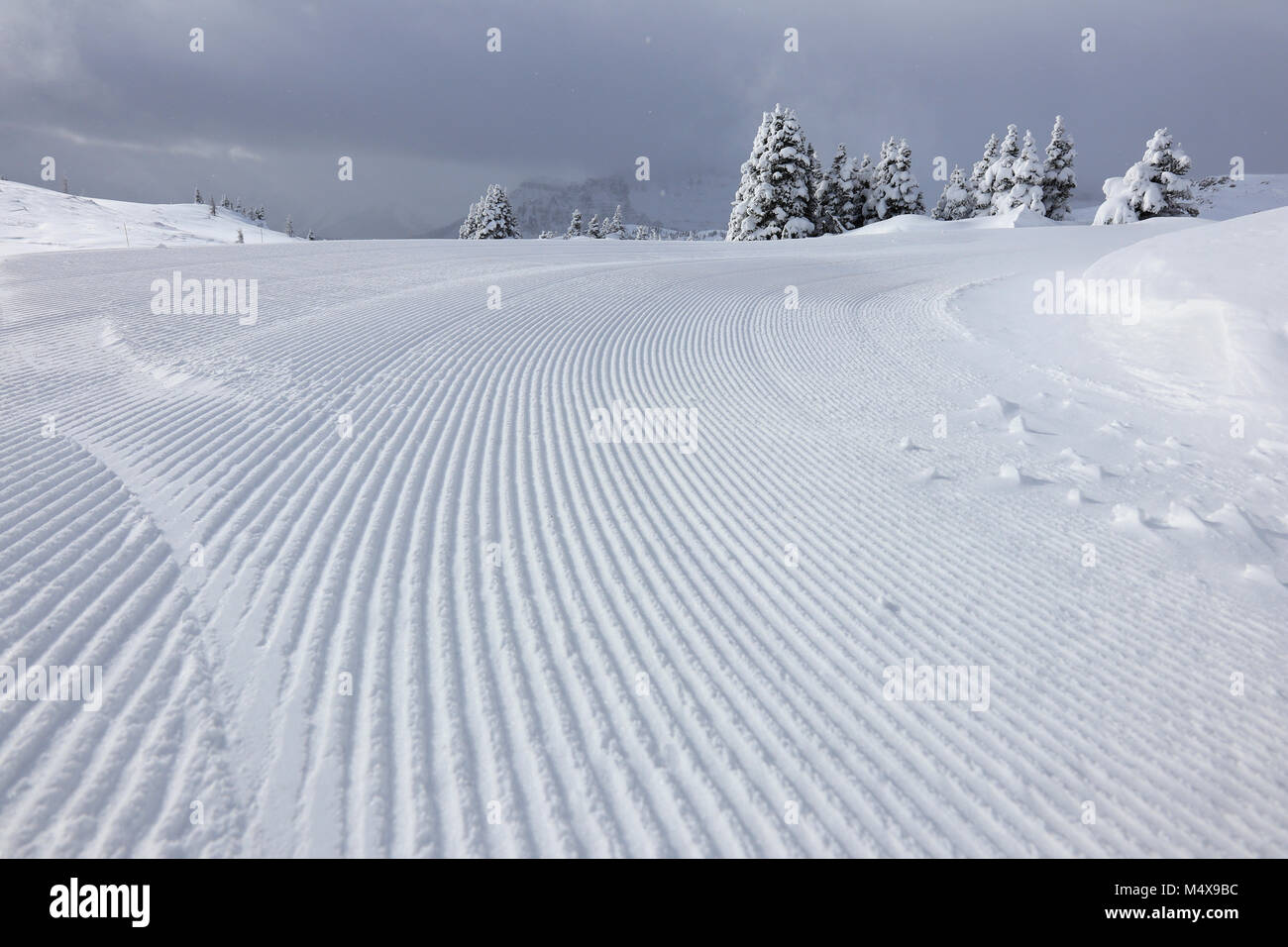 Winterlandschaft in Kanada, Schnee Spuren Stockfoto