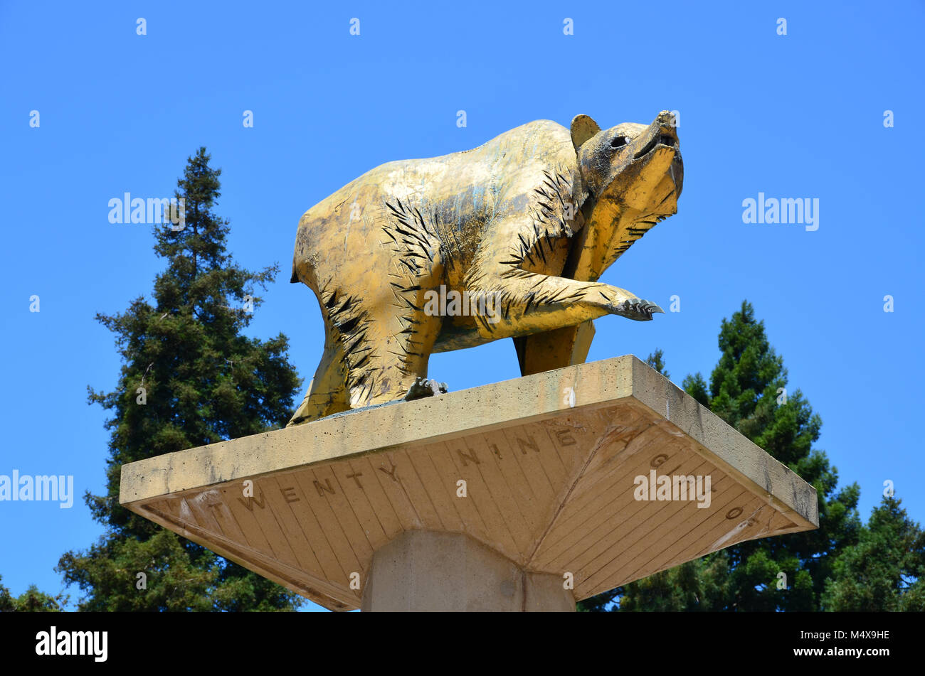 Golden Bear Statue auf der Universität von Kalifornien in Berkeley Campus, Symbol der UC Berkeley und seine athletischen Mannschaften, die Kalifornien goldenen Bären. Stockfoto