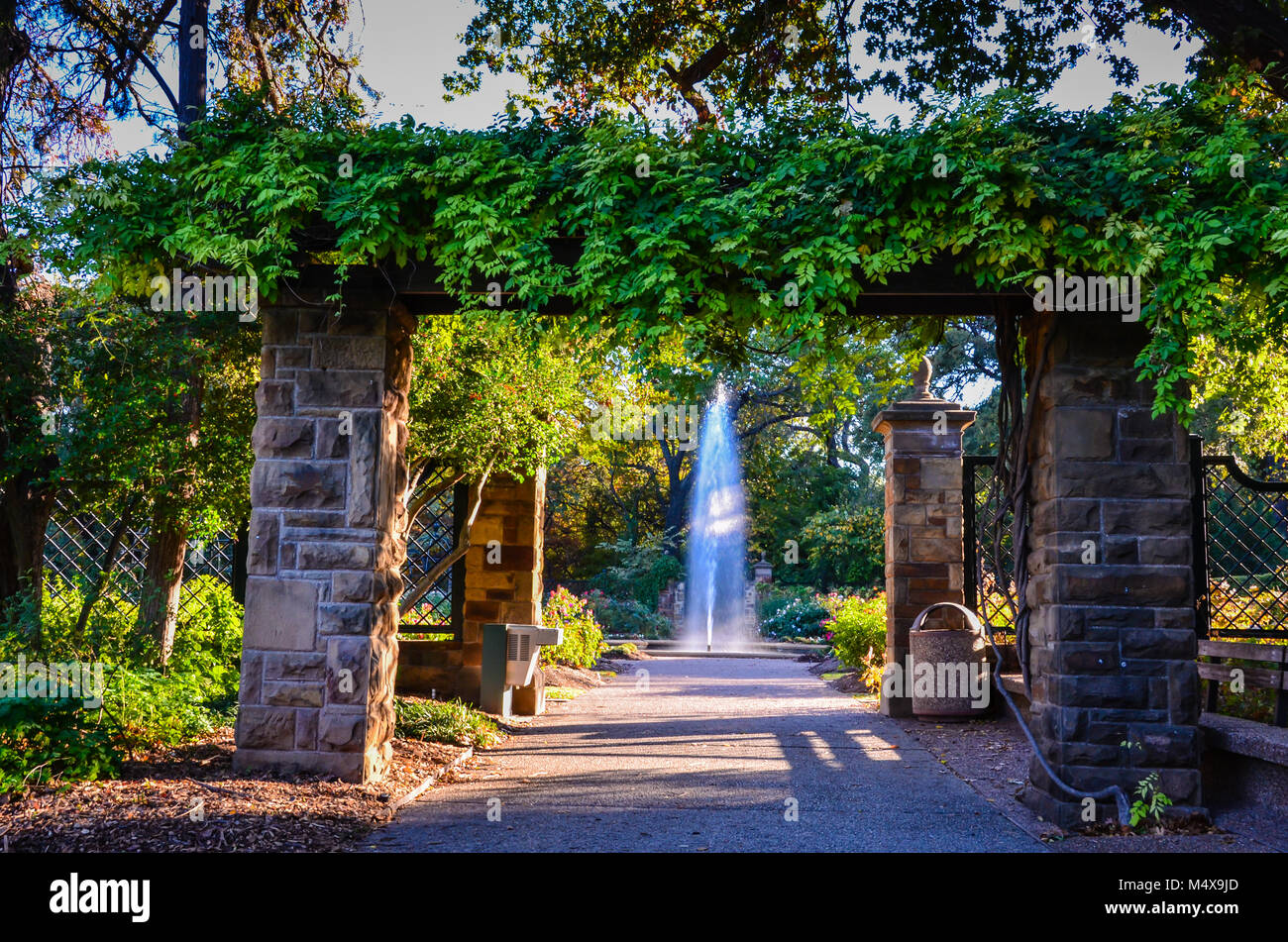Hochhaus Brunnen durch Weinstock gesehen Pergola am Fort Worth Botanical Garden in Fort Worth, TX. Stockfoto