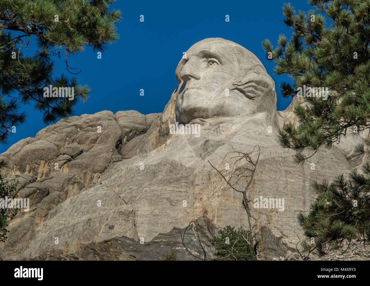 Mount Rushmore in der Nähe von Rapid City in South Dakota Stockfoto