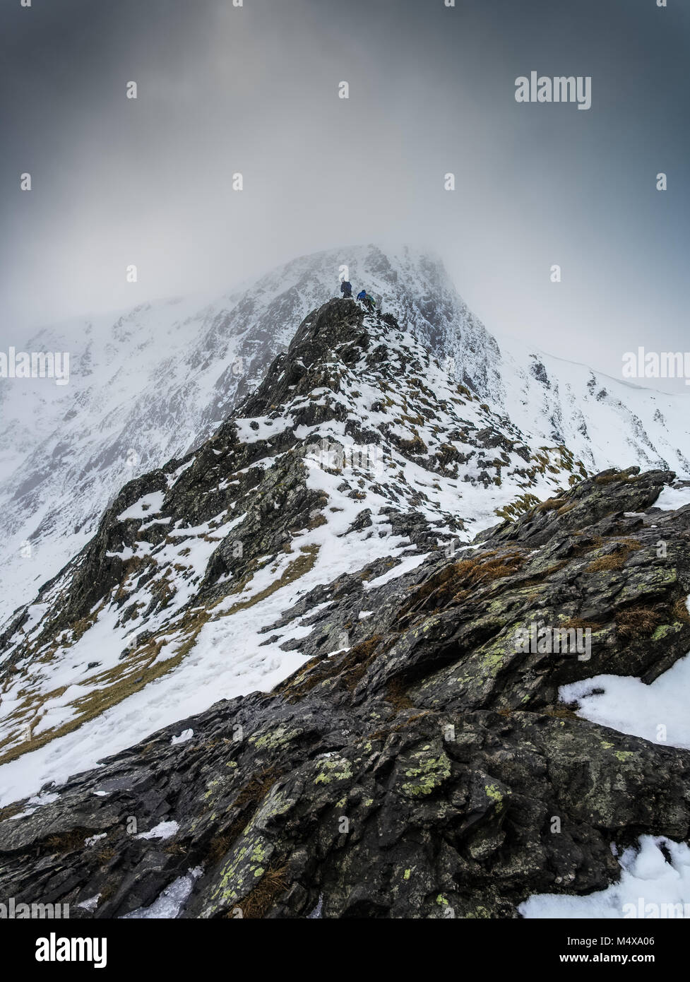 Eine Gruppe der Kreuzung scharfen Kante auf ihren Aufstieg von blencathra im englischen Lake District im Winter. Stockfoto