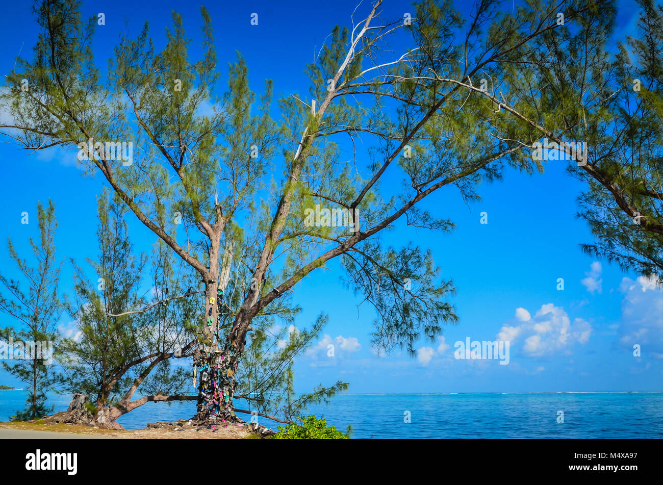 Als Warnhinweis über Müll und Recycling begonnen, den Cayman Schuhspanner sorgt für eine interessante Attraktion am Straßenrand und bunten Kulisse. Stockfoto