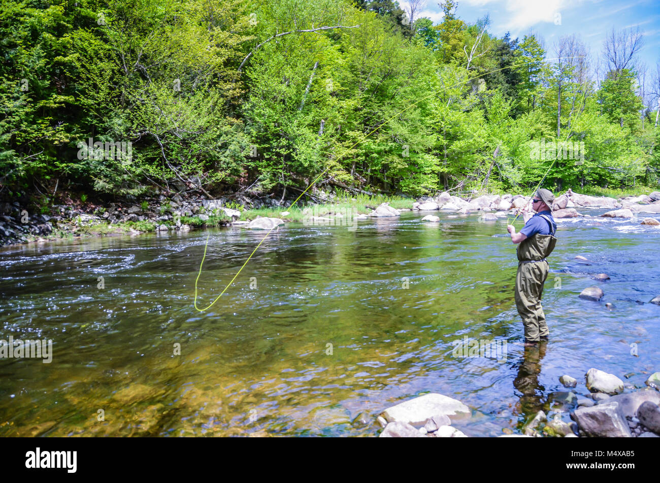 Man wirft einen Fliegenfischen Linie in ein forellenbach in den Adirondack Mountains von Upstate New York. Stockfoto