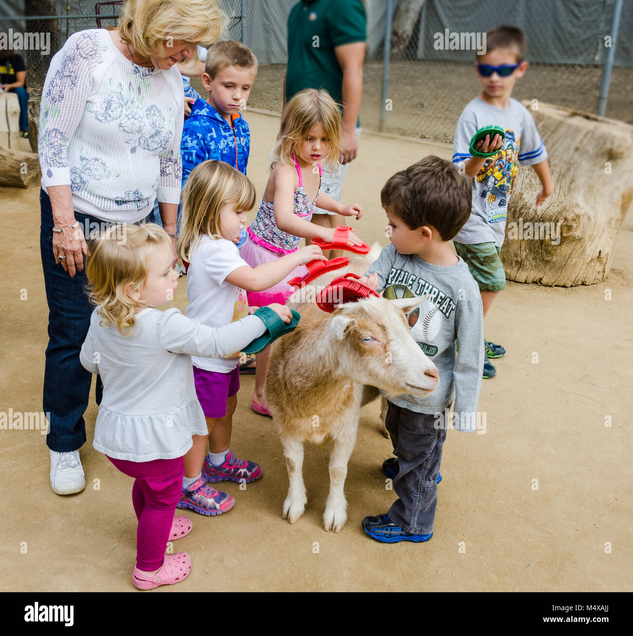 Kinder Bürste eine Ziege im Streichelzoo im Orange County Zoo in Orange, CA. Stockfoto