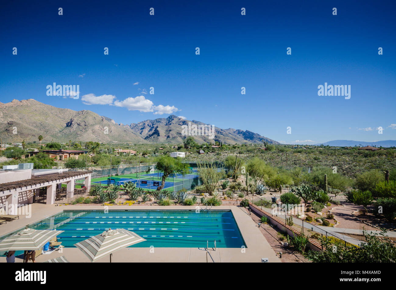 Olympisches Schwimmbad und Tennisplätze im Wunderschönes Resort mit Blick auf die Rincon Mountains in der Nähe von Saguaro National Park und Tucson, Arizona. Stockfoto
