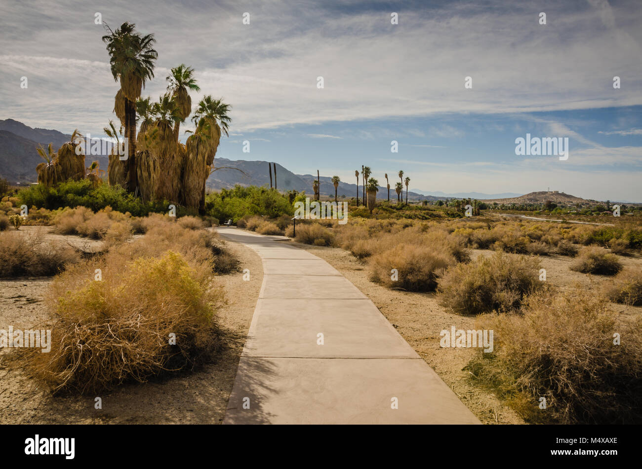 800 Nature Trail durch die Oase in der Wüste. Stockfoto
