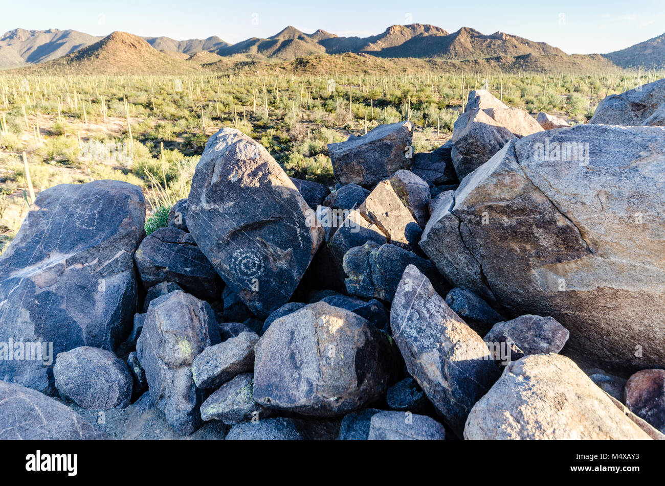 Petroglyphen, oder rock Kunst, im Saguaro National Park wurden in Stein durch Hohokam Menschen vor mehr als tausend Jahren geschnitzt. Stockfoto