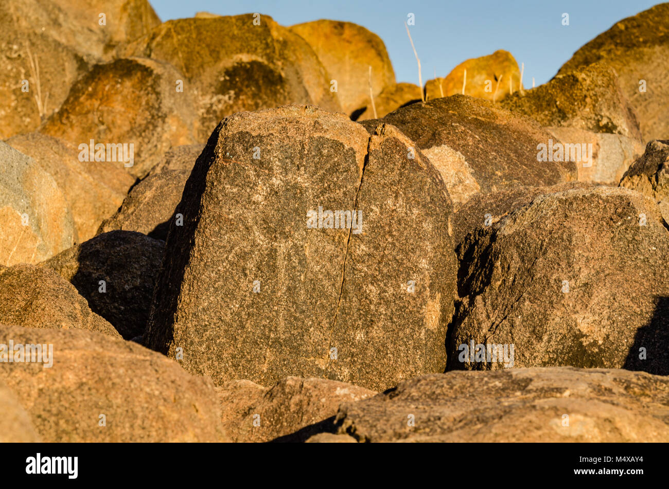 Petroglyphen, oder rock Kunst, im Saguaro National Park wurden in Stein durch Hohokam Menschen vor mehr als tausend Jahren geschnitzt und kann jetzt auf dem gesehen Werden. Stockfoto