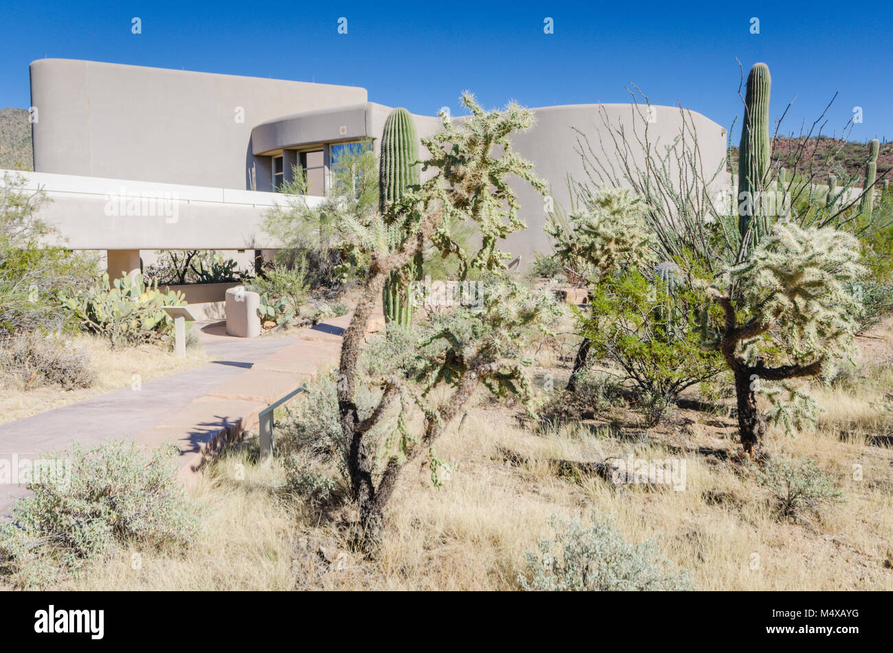 Dies ist ein sehr attraktives Besucherzentrum mit spektakulärem Blick auf die Berge und die saguaros rechts von der hinteren Veranda. Das Besucherzentrum bietet kulturelle Ein Stockfoto
