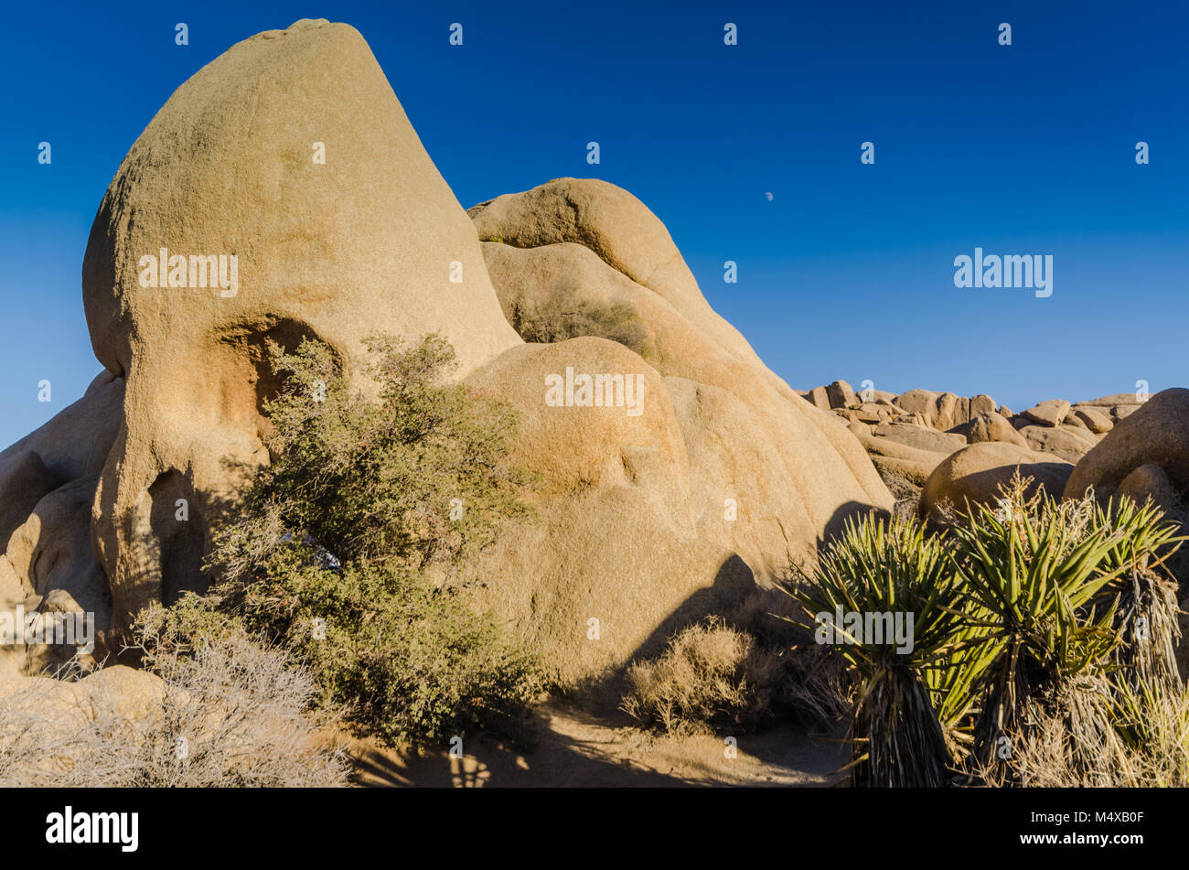 Der Schädel Rock geologische Formation ist ein Liebling der Besucher zu Joshua Tree National Park in Yucca Valley, Mojave Wüste, Kalifornien USA. Stockfoto