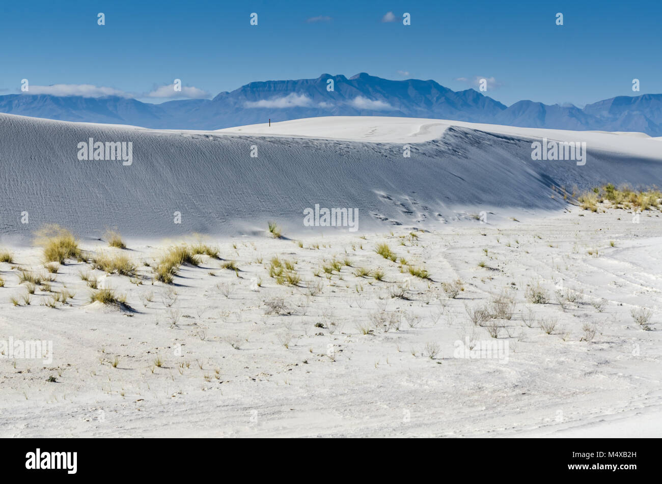Ridge mit weißem Sand Gips durch gelbe Gras eingefasst, mit der Bergkette im Hintergrund. Stockfoto