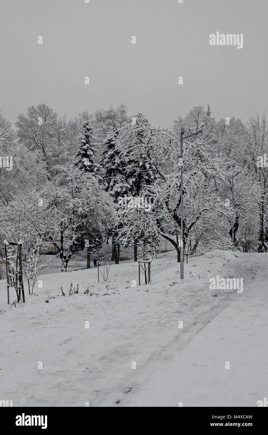 Majestätischen Blick auf verschneite Bäume und Rutschbahn in Winter Park, Bankya, Sofia, Bulgarien Stockfoto
