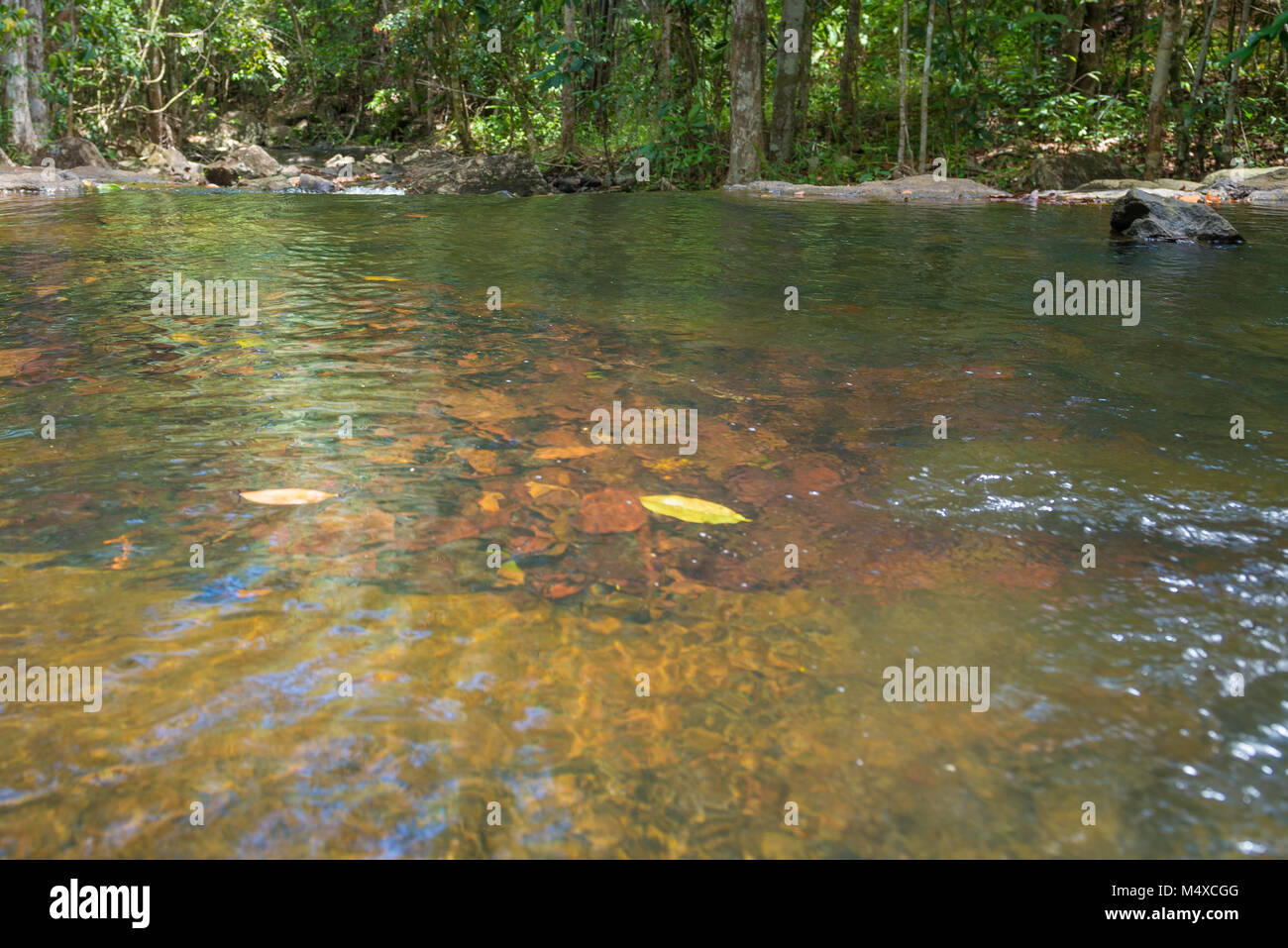 Natur mit Wasserfall und Stream in Ninh Binh Stockfoto