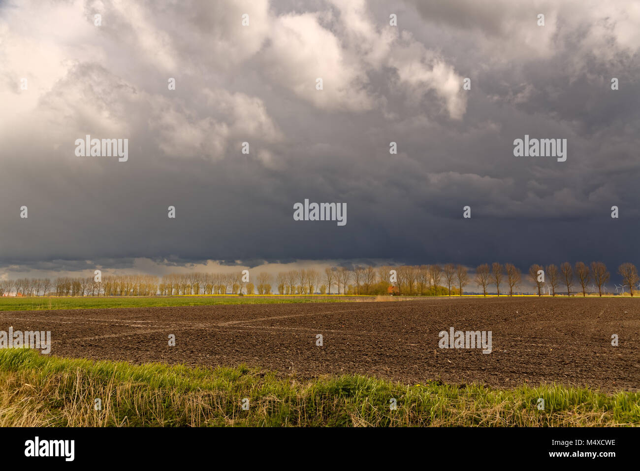 Gewitter über Ostfriesland Stockfoto