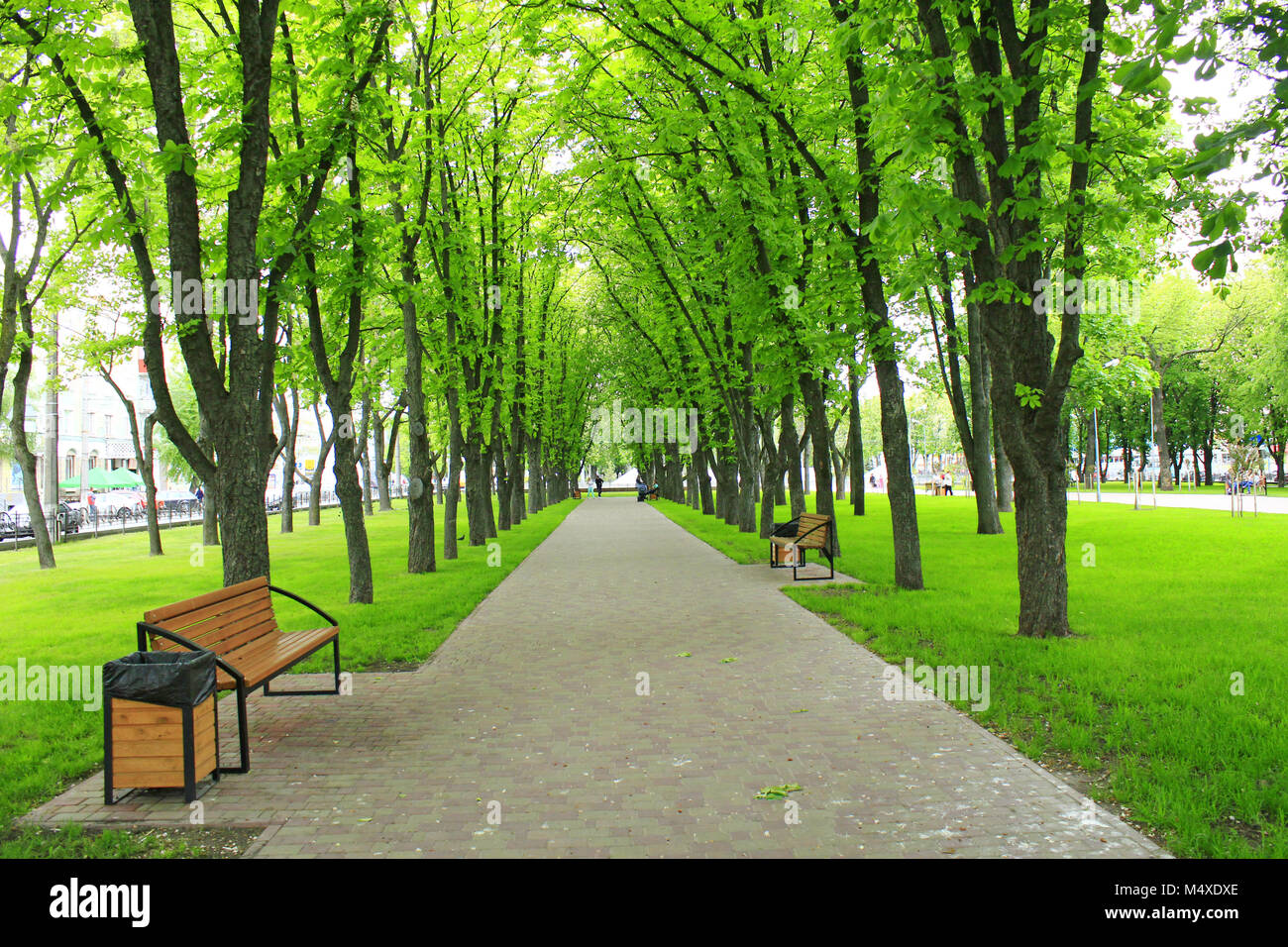 City Park mit Pfad und grünen Bäumen, Stockfoto