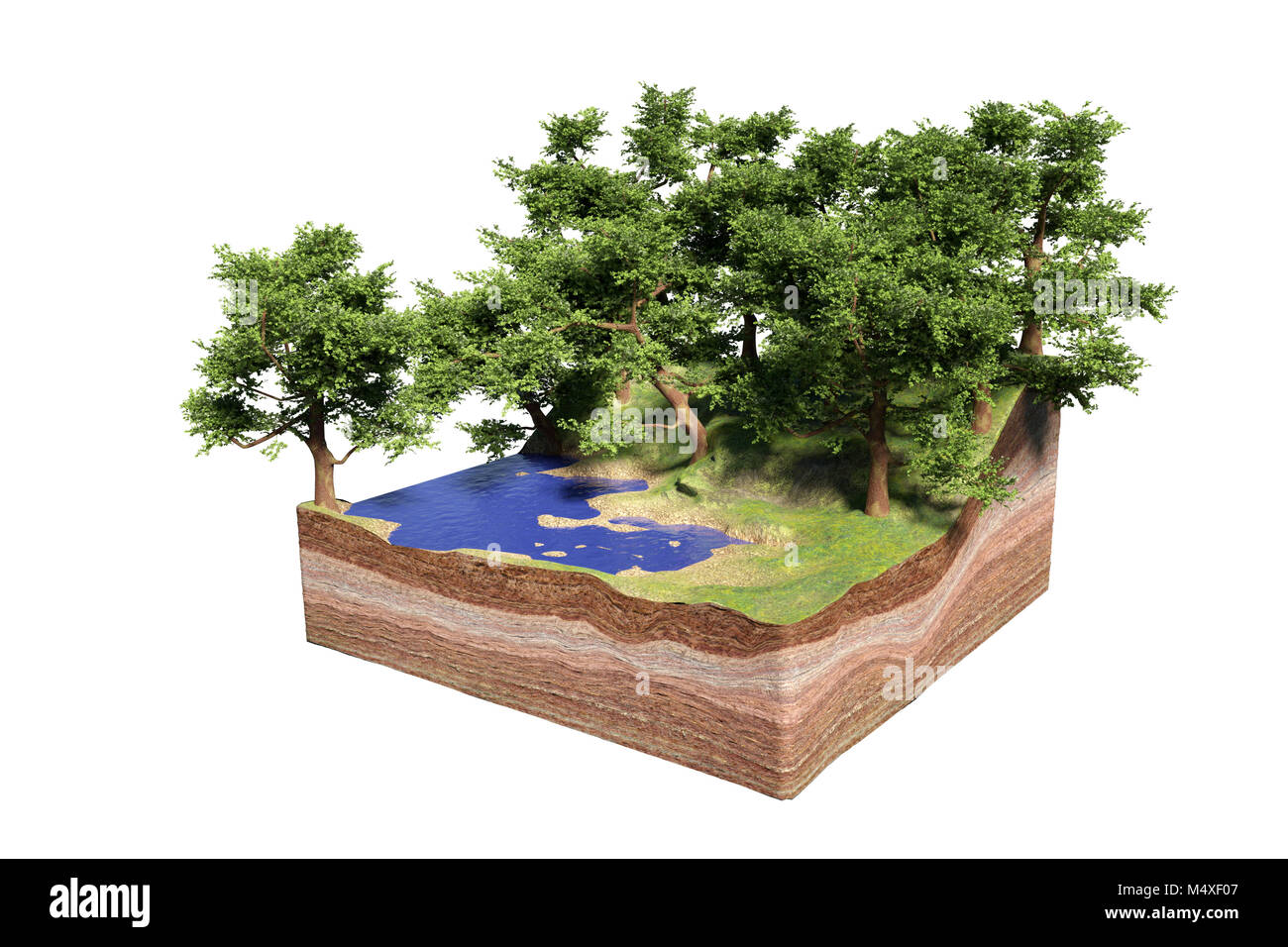 Querschnitt der Boden mit See, Wald und Strand, idyllische Natur mit Bäumen cube Concept (3D-Illustration, auf weißem Hintergrund) Stockfoto