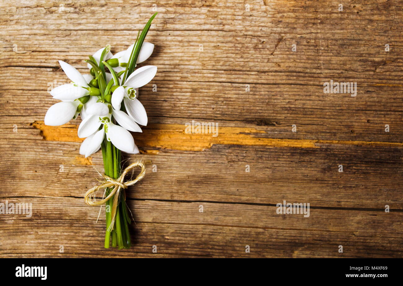 Snowdrop Blumen auf rustikalen Holzmöbeln Hintergrund der Ansicht von oben Stockfoto