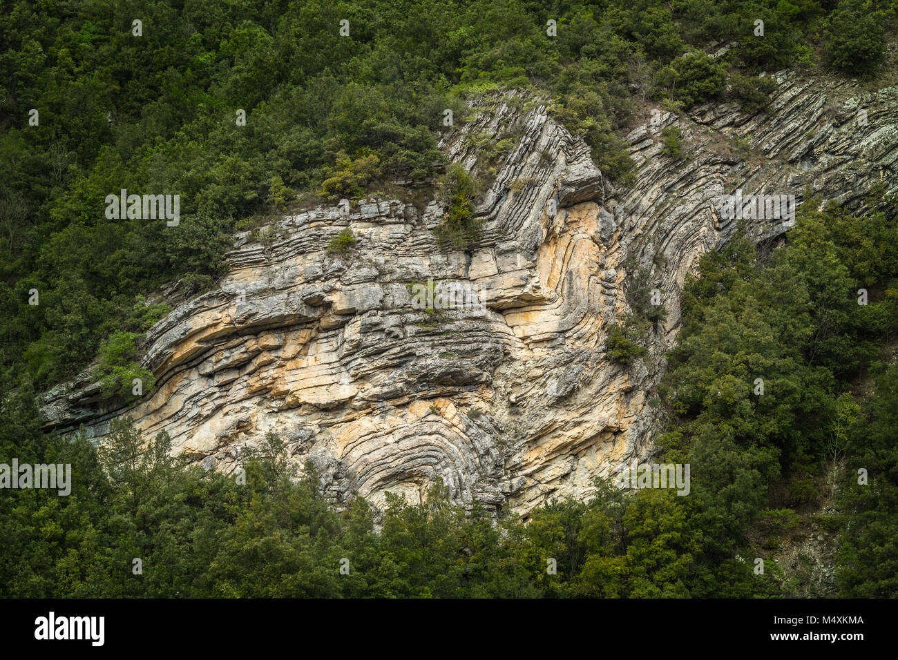 Schichten von Sandsteinablagerungen, die durch geologische Kräfte deformiert wurden. Nationalpark Gran Sasso und Monti della Laga, Abruzzen, Italien, Europa Stockfoto
