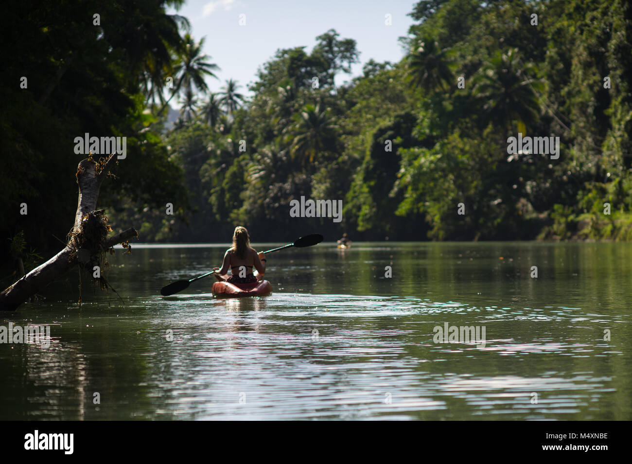 Kajakfahren auf dem Loboc River Stockfoto