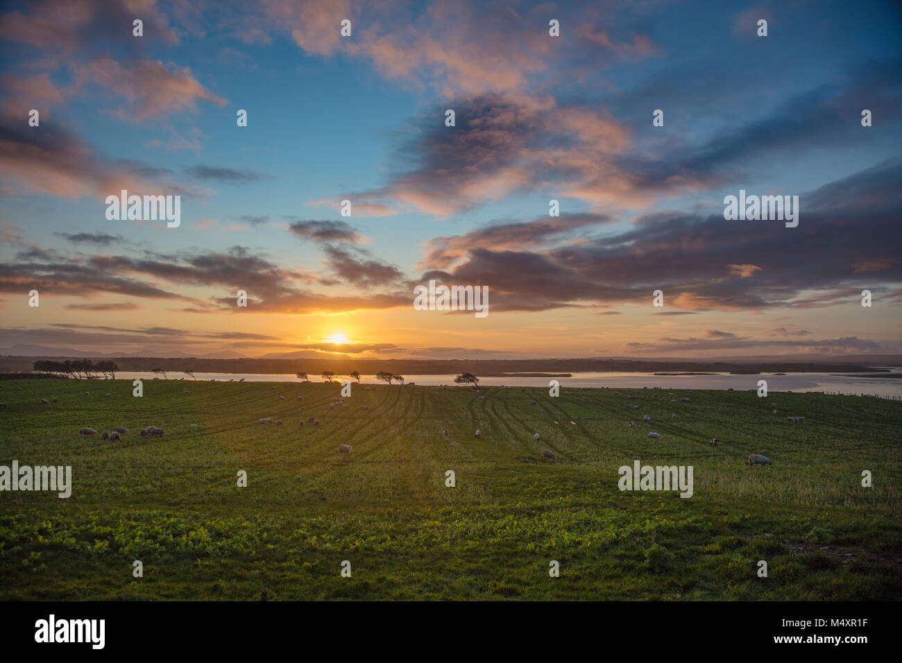 Sonnenuntergang über dem Fluss Moy, County Sligo, Irland. Stockfoto