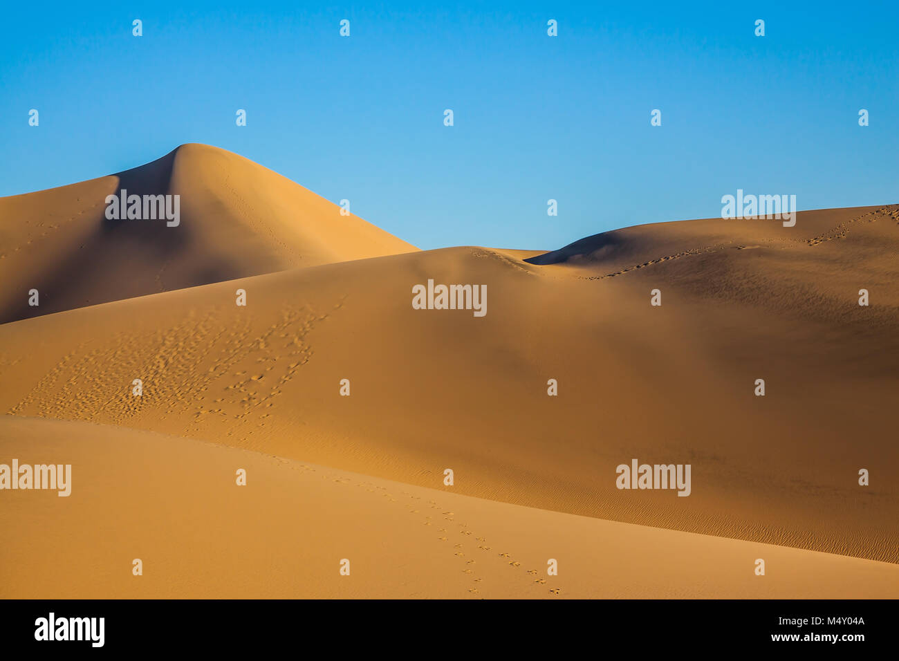 Die Windungen der orangefarbenen Sanddünen Stockfoto