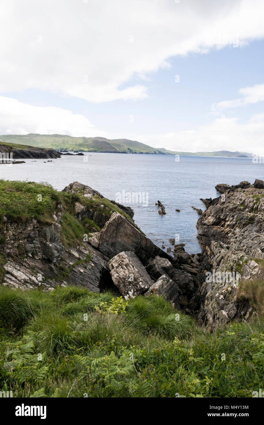 Wilde Felsenküste entlang der Kenmare Bay zwischen Allihies und Eyeries auf der Beara-Halbinsel, Südirland. Stockfoto