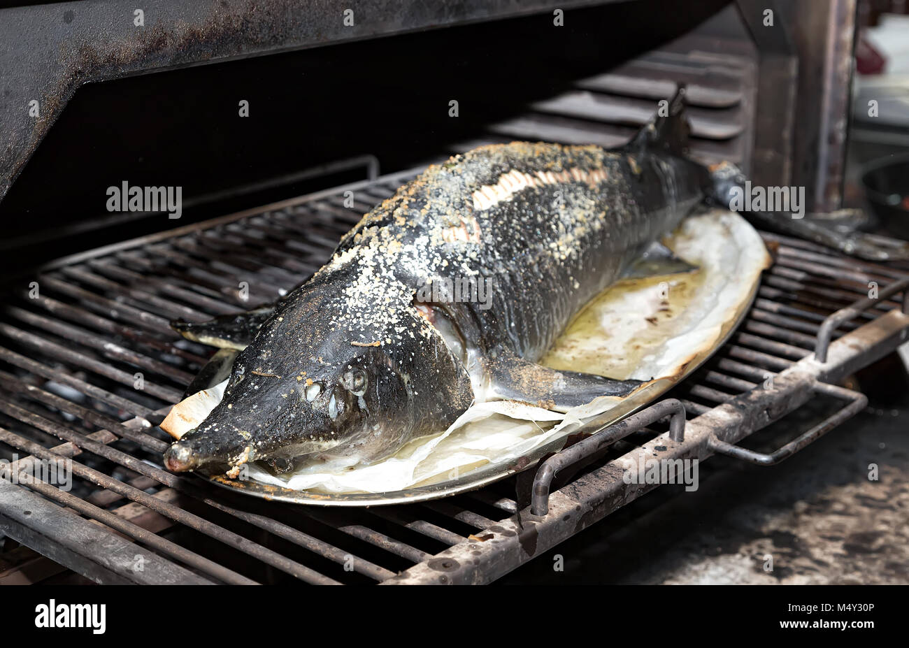 Royal fisch Stör vollständig auf dem Grill backen Stockfotografie - Alamy
