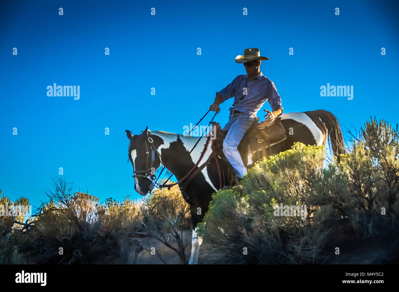Cowboy reiten nach einem sonnigen Salbei bedeckten Hügel in Nevada beschattet. Stockfoto