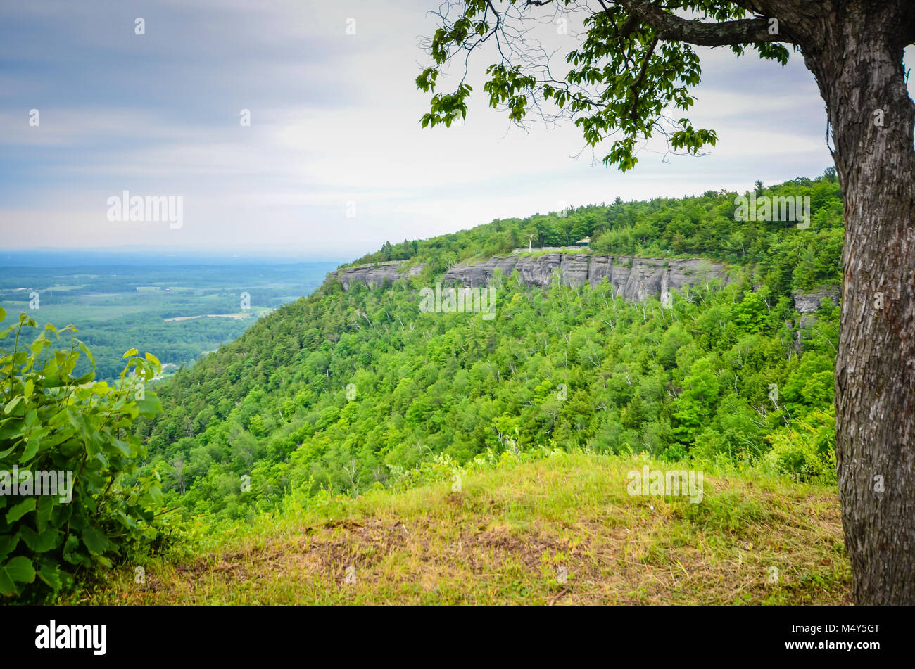 Einen herrlichen Überblick über Hedelberg Klippen von John Boyd Hilgers State Park in Voorheesville, New York gesehen. Stockfoto