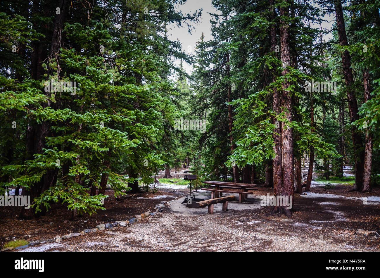 Campingplatz mit hölzernen Tisch für Picknick, Grill, Feuerstelle, und in der Nähe Bad am Wheeler Peak Campground in White Pine County, Nevada. Stockfoto