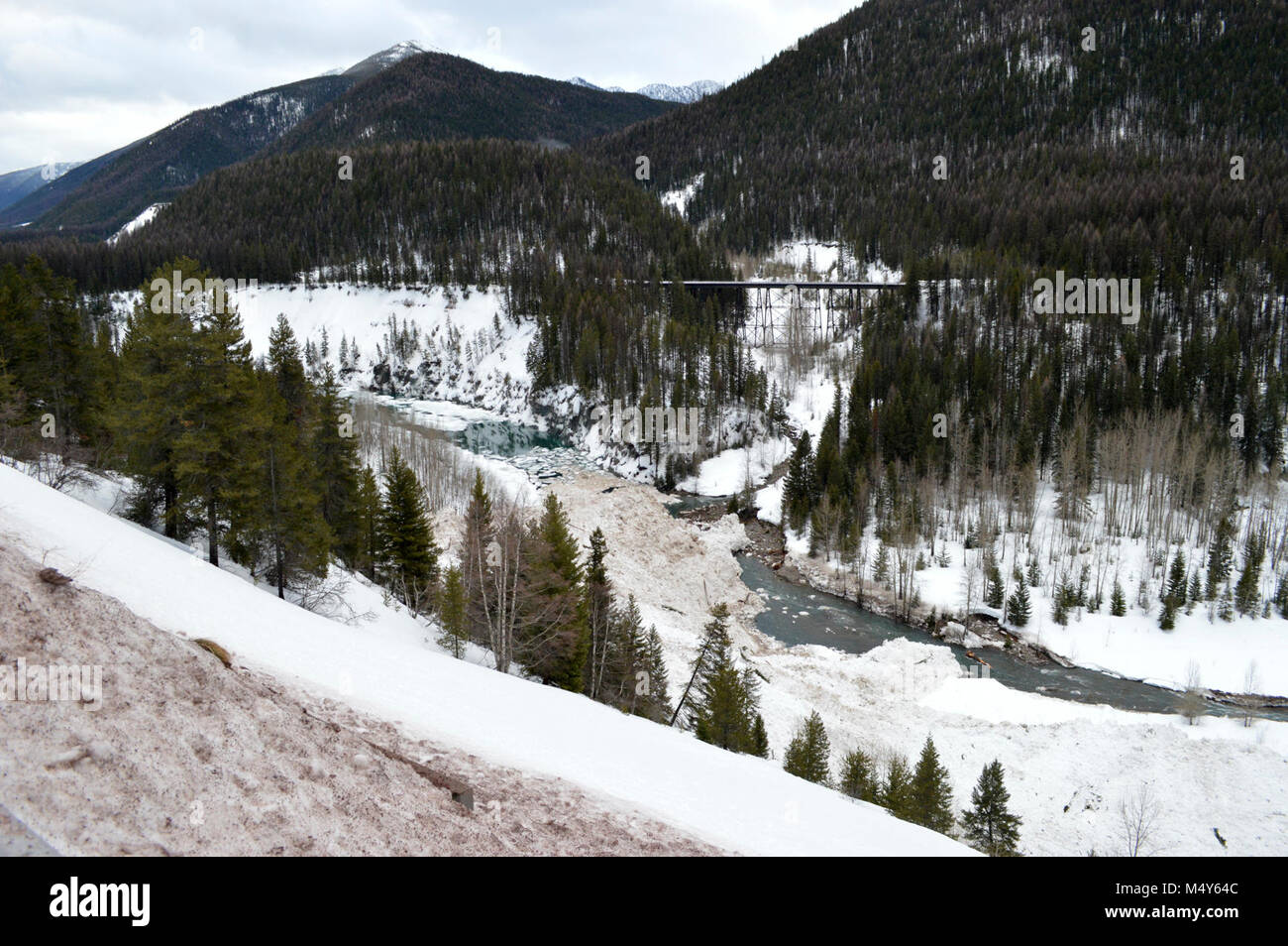 Mittlere Gabel des Flathead sichern hinter der Folie. Ziege Lecken, Folie März A. Stockfoto