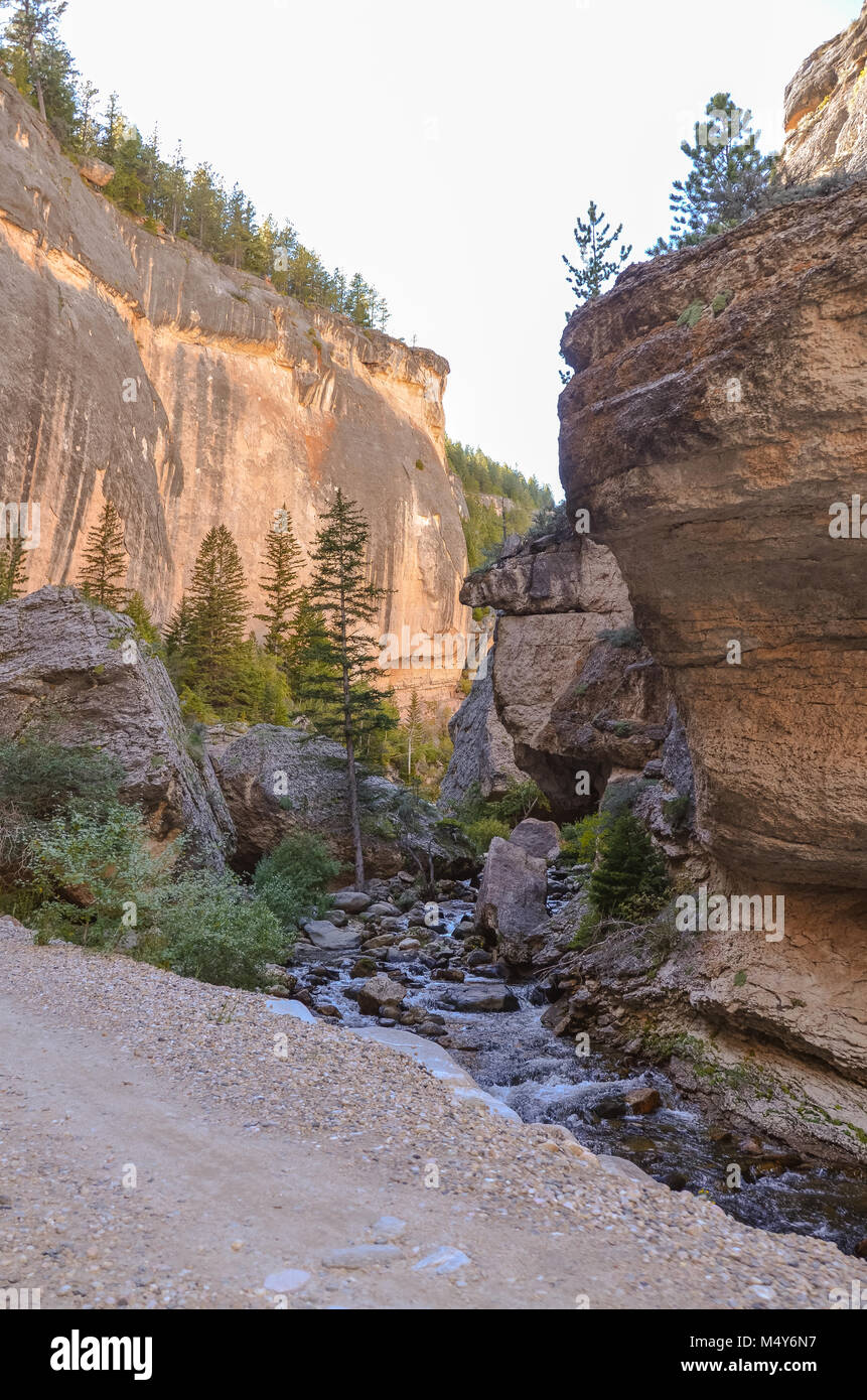 Vertikale Ansicht von Klippen und Rolling Rock Stream an der Basis der verrückte Frau Canyon. Stockfoto