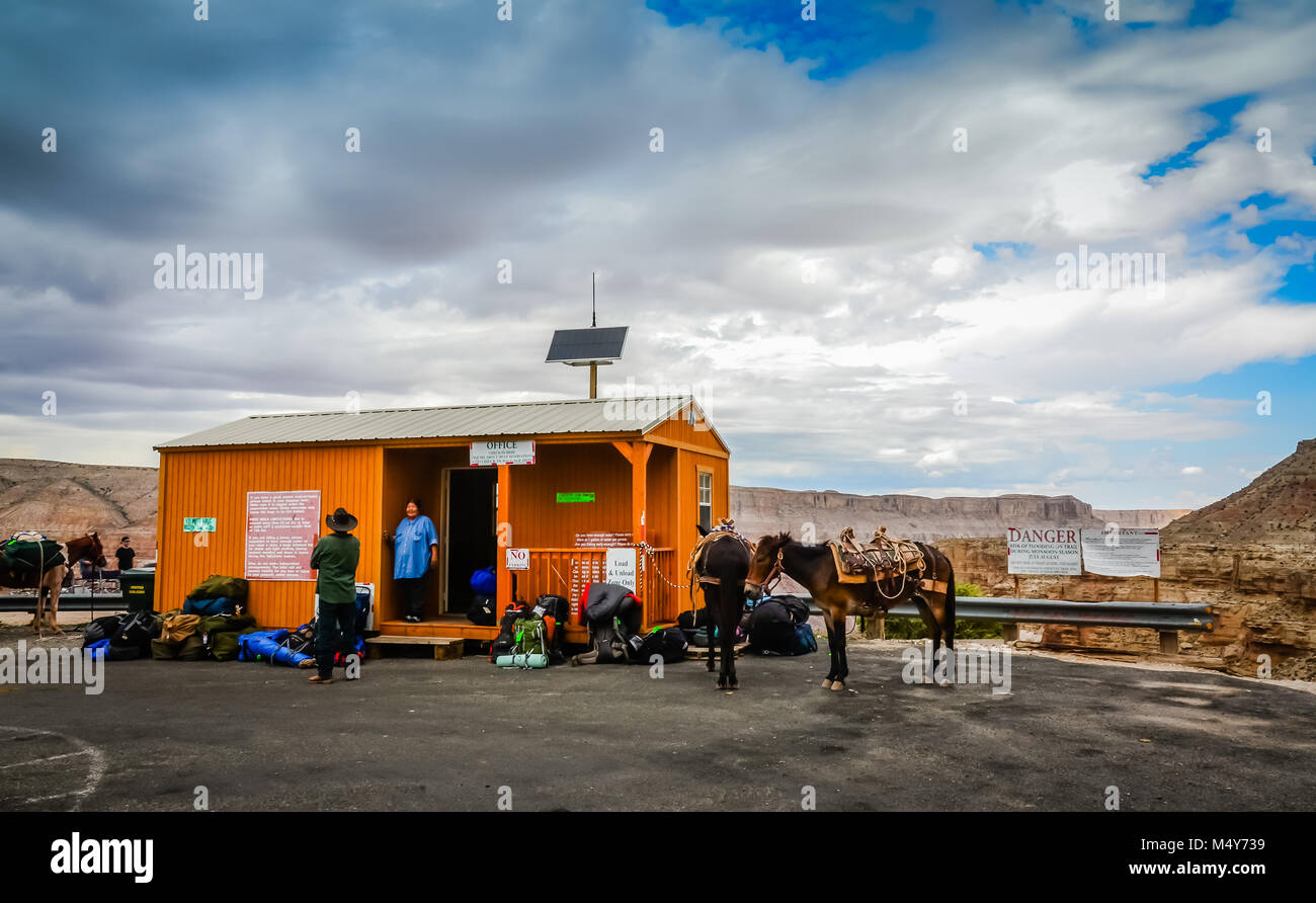 Anmeldung Amt für Maultier zu Havasu Wasserfall im Tribal Indian Reservation der Hualapai am Grand Canyon West Rim. Stockfoto