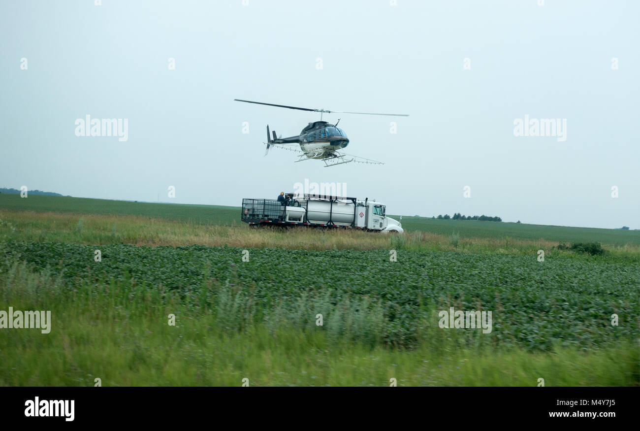 Schwebenden Hubschrauber über Tankwagen für das Sprühen von Insektiziden Pflanzen von oben eingesetzt. Alexandria Minnesota MN USA Stockfoto