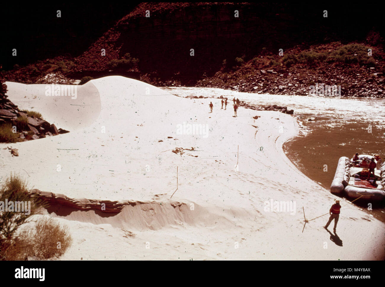 Mit der rechten Maustaste fallen Canyon. CC = 40. Große AKTIVE DUNE. Schlage vor, BESEITIGUNG VON CAMPING DÜNE ZU SCHÜTZEN. 1975. NPS, BORDEN. R2116 mit der rechten Maustaste fallen Canyon. Stockfoto