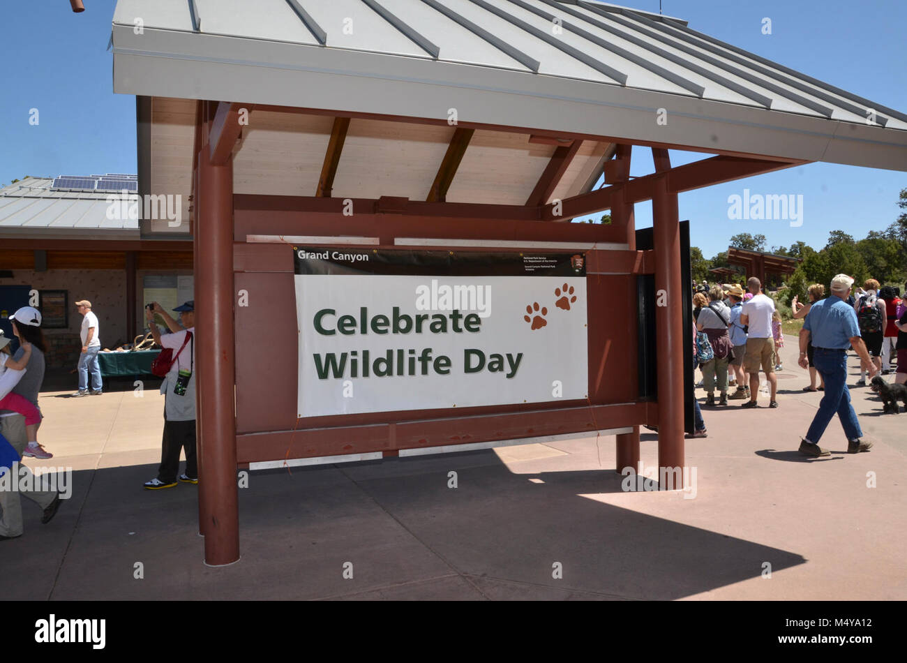 Vielen Dank an alle, die in der Wildnis Tag Feiern teilgenommen - Samstag, 19 Mai, 2012 am Grand Canyon Visitor Center. Besucher, die Erfahrenen familienfreundliche Aktivitäten im Laufe des Tages besucht.. . Rund 2.700 Besucher trat Förster und Mitarbeiter am Grand Canyon Visitor Centre, um mehr über die Tierwelt des Parks und gefährdeten Arten zu lernen. . . Feiern Wildlife Tag bietet Gelegenheit für Park Besucher über die reiche Tierwelt des Grand Canyon und der Wild lebende Tiere spezialisierte Biologen zu erfahren. Es ist möglich, durch die gemeinsamen Anstrengungen der Nat gemacht Stockfoto