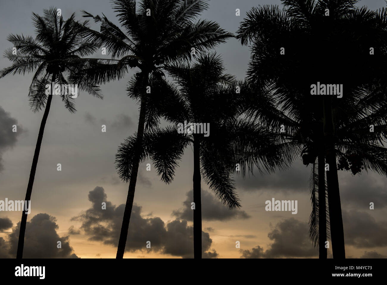 Sonnenuntergang auf der Insel Koh Mak Thailand Stockfoto