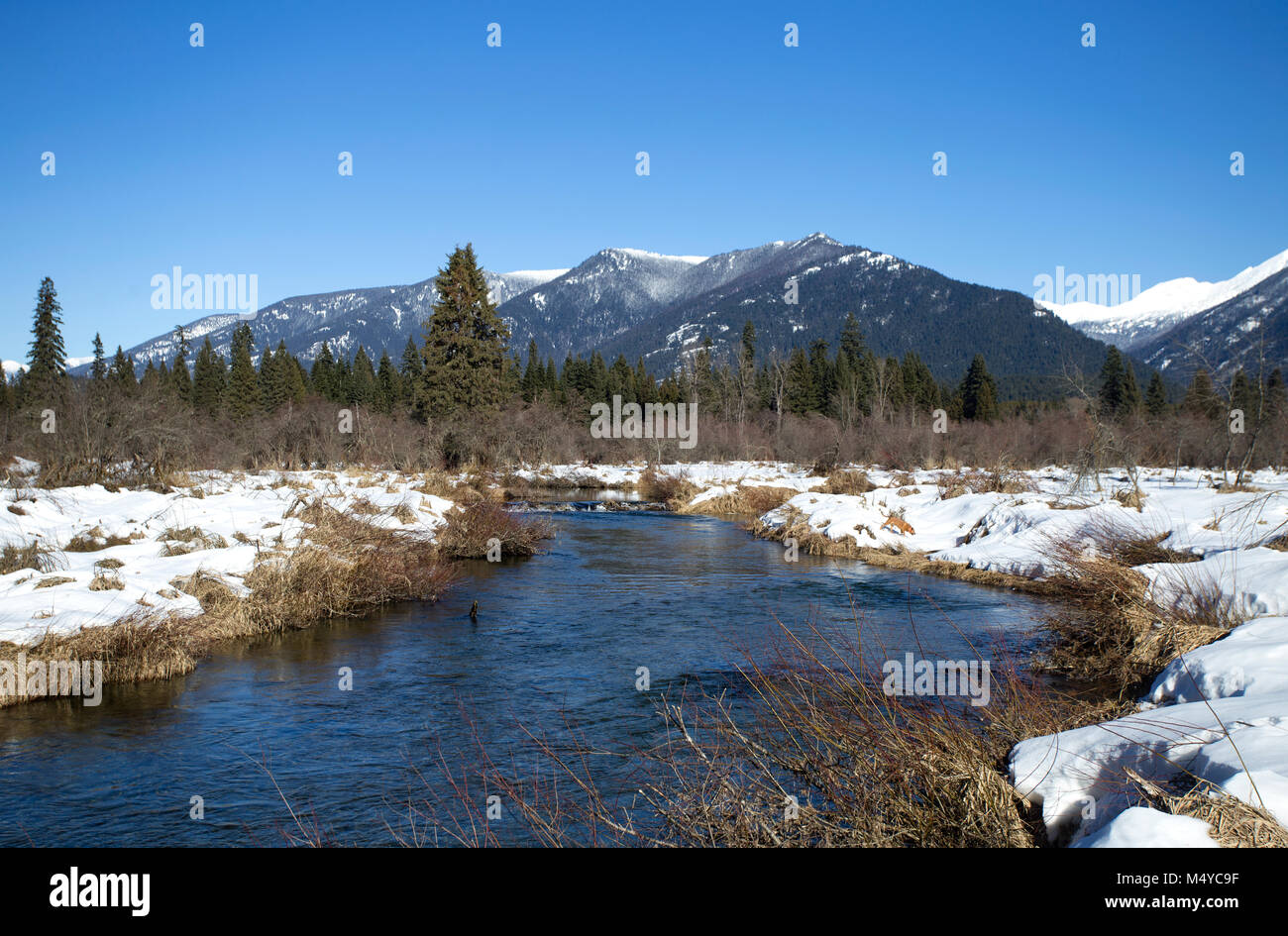 Bull River, Wicklung Nord, mit dem Kabinett Bergkette in der Ferne, an einem kalten, klaren Tag, in Sanders County, Northwest Montana. Stockfoto