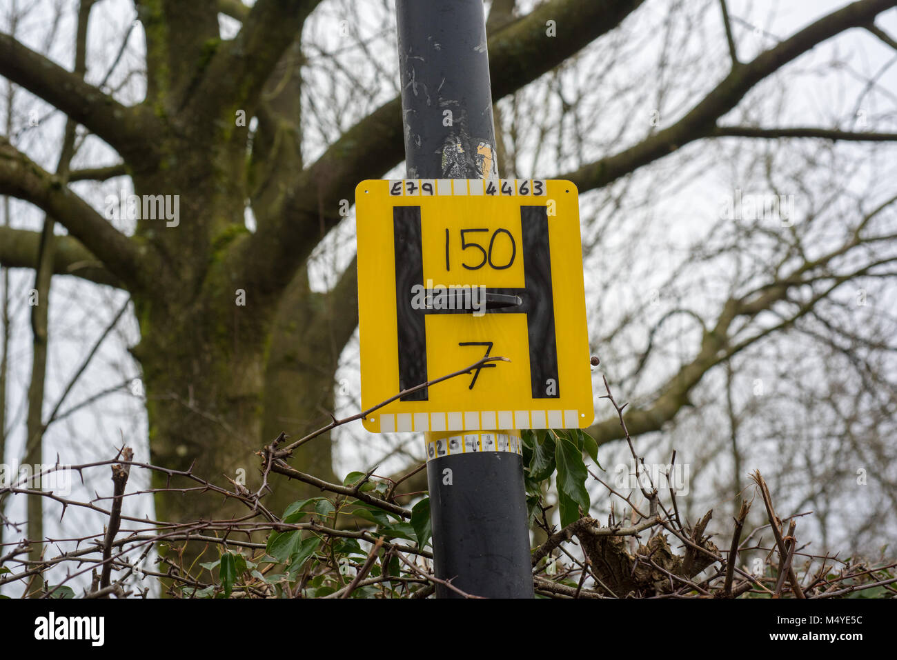 Ein Hydrant Zeichen auf ein Metall street light Pole, Chipping, Preston, Lancashire. Stockfoto
