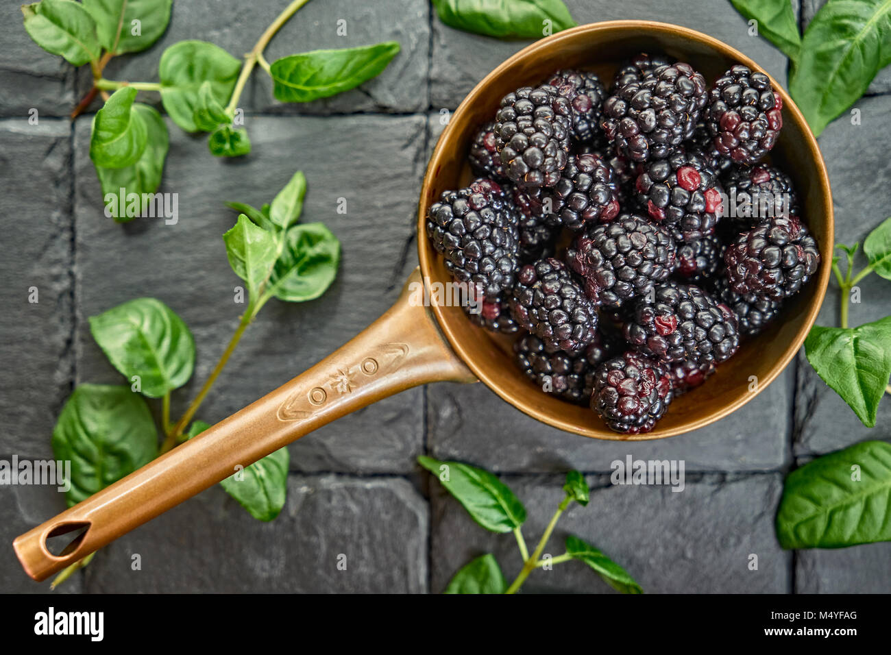 Brombeeren, dunkelblau Obst in einem Kupfer Kasserolle Stockfoto