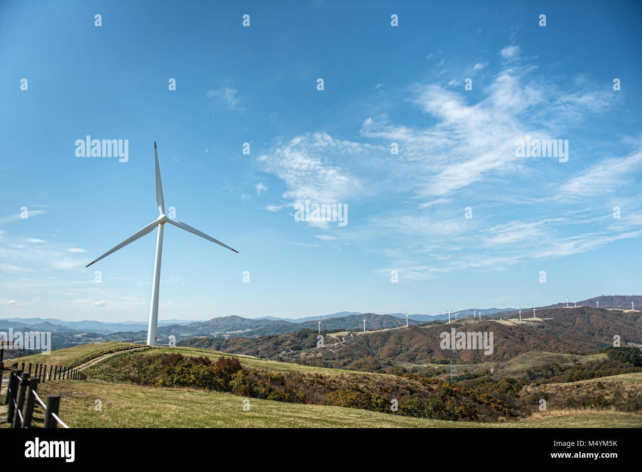 Windkraftanlagen auf der grünen Wiese Stockfoto